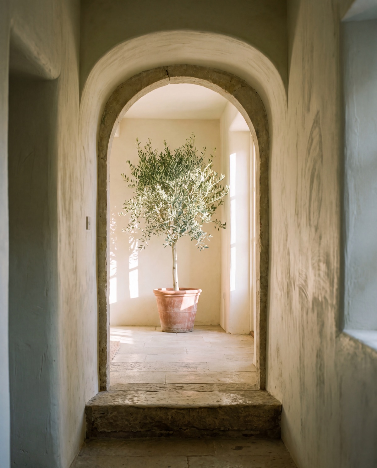 Concept image: a round-arched doorway in thick lime-plastered walls opening onto a bright room with an olive tree in a terracotta pot